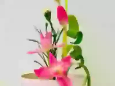 Flower-arranging